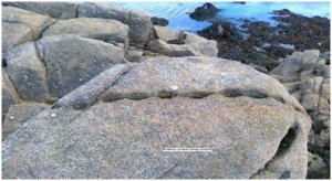 Worked Stone on the Foreshore at Sandycove
