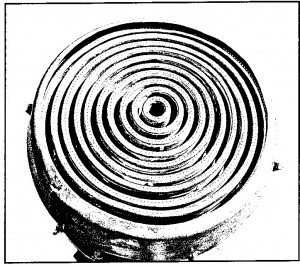 gas crocus from above