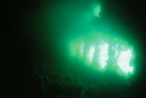Diver's view of wreck of Leinster