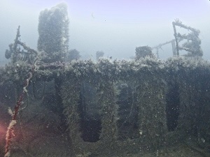 View facing the forecastle accommodation
