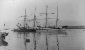 WANDERER IN KINGSTOWN WITH TUG WRESTLER-001 Wanderer in Kingstown with Tug Wrestler